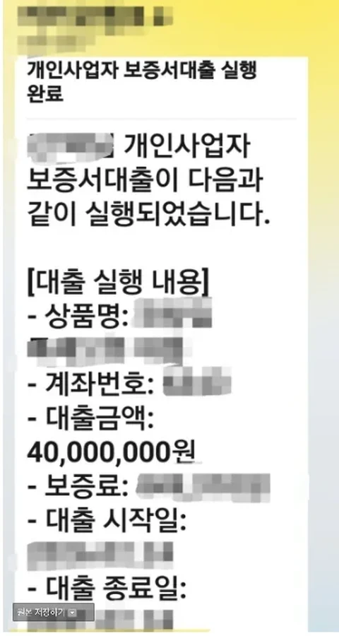 개인사업자 보증서대출 실행 완료를 안내하는 카카오톡 알림 (개인정보 블러 처리)